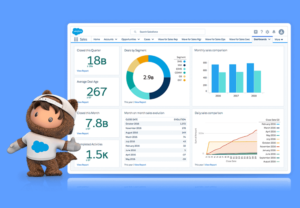 NetSuite Salesforce Integration - The Future of Business Connectivity