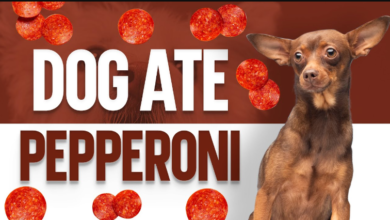 can dogs eat pepperoni