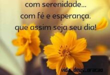 Mensagem De Bom Dia Para Whatsapp
