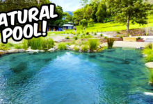 Warm Waters: Relaxing in Nature's Pools