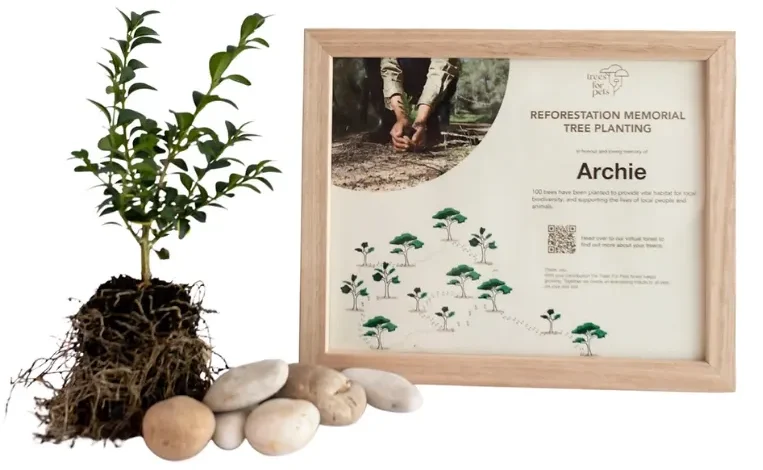 Inclusive Memorials Planting Trees In Memory Of Your Beloved Pets