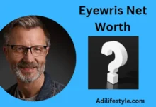 Eyewris Net Worth:Exploring the Financial Vision