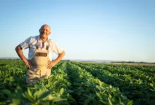 A Deep Dive into Low Doc Rural Farming Loans in Australia