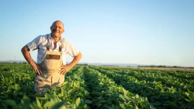 A Deep Dive into Low Doc Rural Farming Loans in Australia